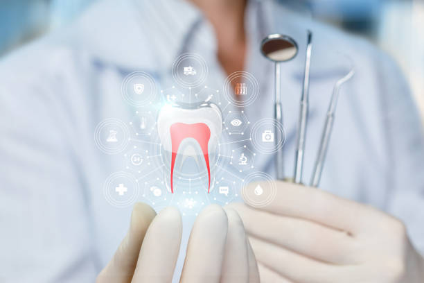 Best Traditional Braces  in Grant, MN