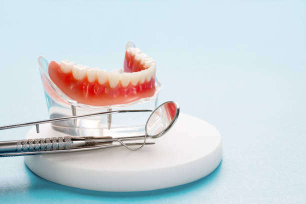 Best Full Mouth Reconstruction  in Grant, MN
